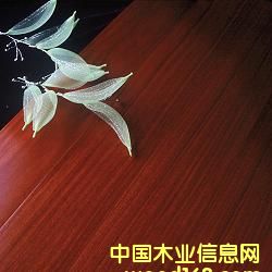 �t̴�㌍ľ��(f��)�ϵذ�