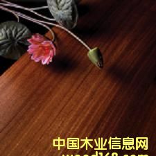 �A�P(p��n)����(sh��)ľ��(f��)�ϵذ��Ԕ��(x��)��B