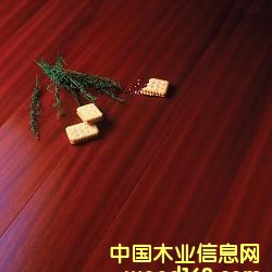 ɯ����?q��)�ľ�?f��)�ϵذ�