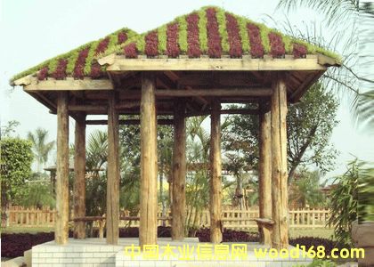 ����ľ��ͤ