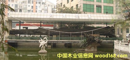 ��ľ������Ԕ��(x��)��B