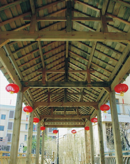 ����ľ��Ԕ����B