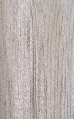 ���a(ch��n)��˨��ֱ�y��china  hackberry(Q)