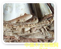 �������sľо�壮�ΰ�