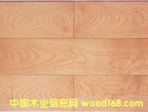 ��ľ��ľ��(f��)�ϵذ��Ԕ����B