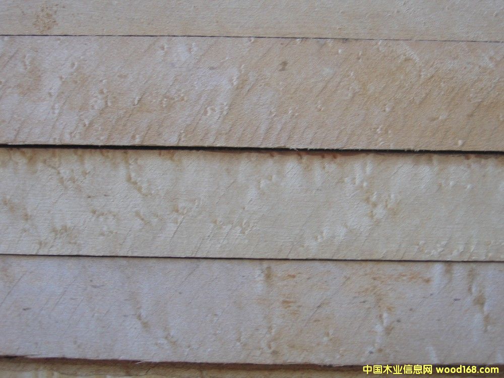 ȸ�ۗ�ľ1��Ԕ��(x��)��B