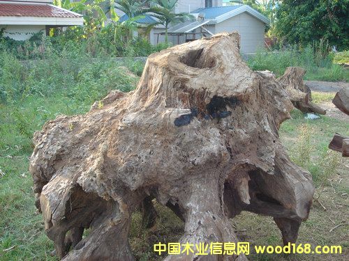 ����ľ���A��Ԕ����B