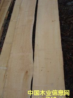 ��ľ��ĵ�Ԕ��(x��)��B