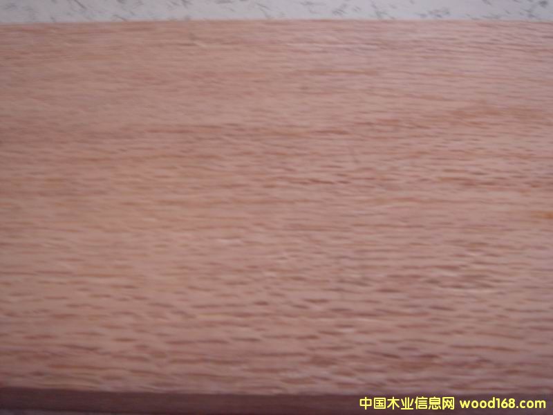 ����ľ��Ԕ��(x��)��B