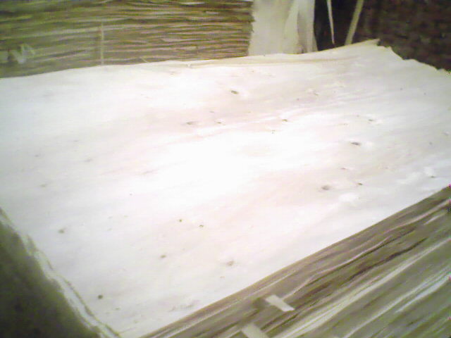 ��ľ���N���eƤ��Ԕ����B