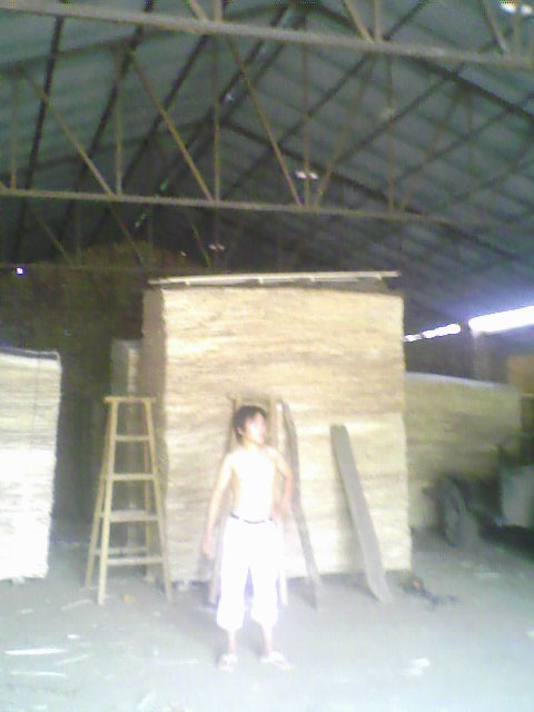 ��ľ���N���eƤ��Ԕ����B