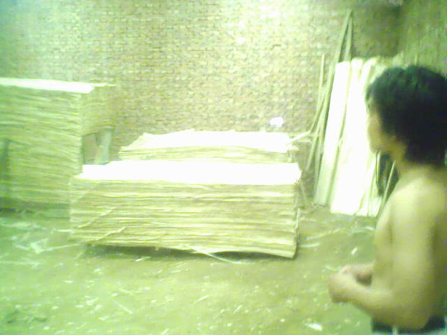 ��ľ���N���eƤ��Ԕ����B