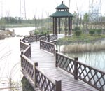 ����ľ�ĵ�Ԕ����B