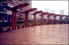 ̿��ľ��Ԕ����B