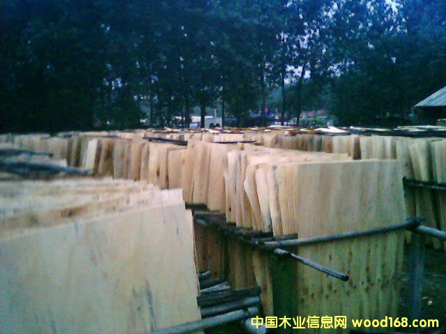 ��ľ�ΰ��Ԕ��(x��)��B