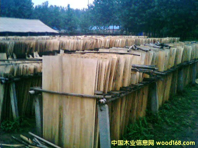 ��ľ�ΰ��Ԕ��(x��)��B