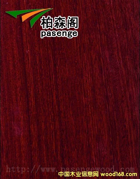 �t̴���Ԕ��(x��)��B