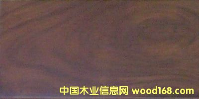 �ں��ҵ�Ԕ����B