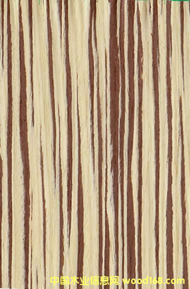 �G�ٵ�Ԕ��(x��)��B