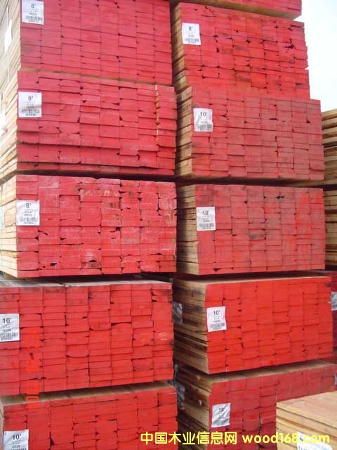 ������������ľ��Ԕ��(x��)��B