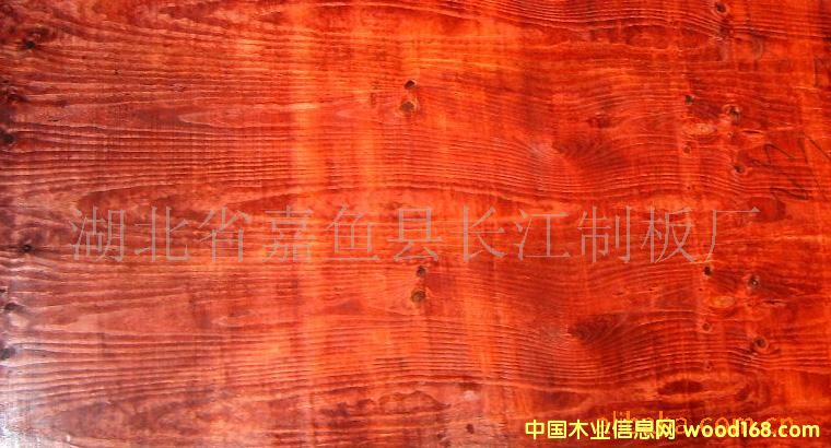 ����ģ���Ԕ����B