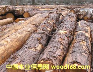 �S�u����أ���Ԕ��(x��)��B