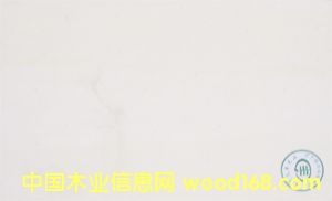 ������ȫ��