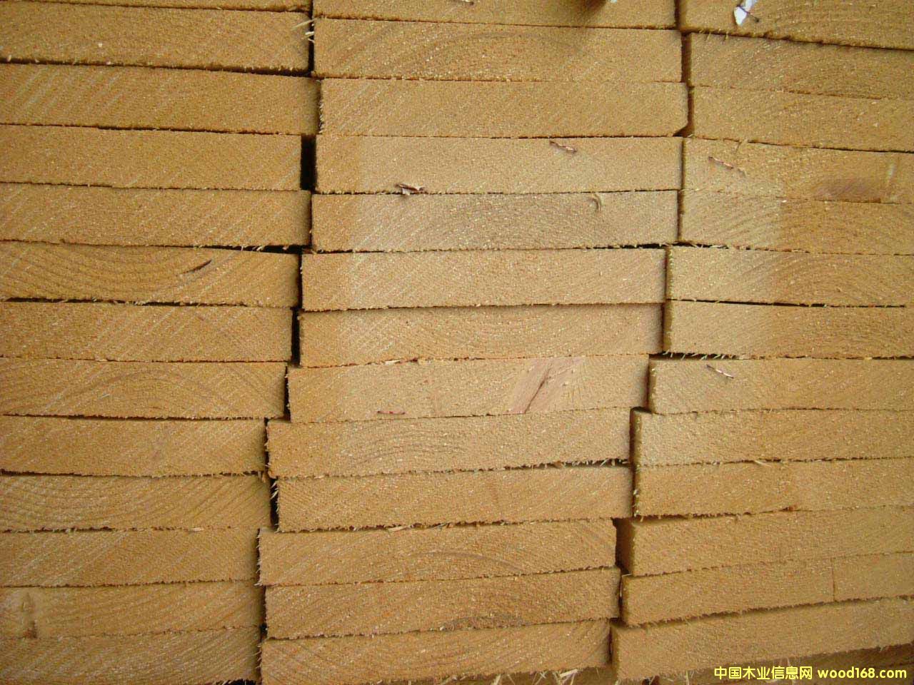 �M(j��n)�ڷ��m��