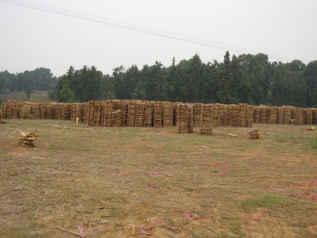 ָ�Ӱ��Ԕ��(x��)��B