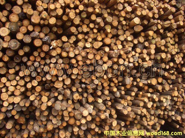 ���r��ƤС��ɼľ�ɹ��b���