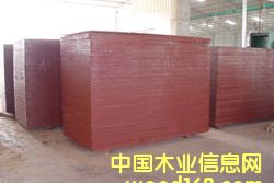 ����ģ���Ԕ����B