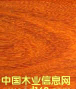 ���P̴��Ԕ����B