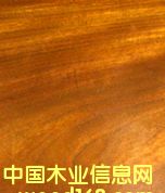 ��ρľ/��̴(IPE)��Ԕ����B