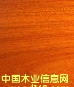 �t̴��(CABREUVA)��Ԕ����B