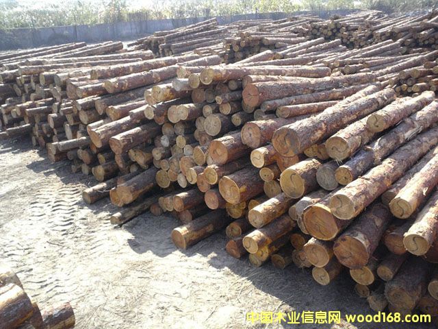 �����ɵ�Ԕ����B