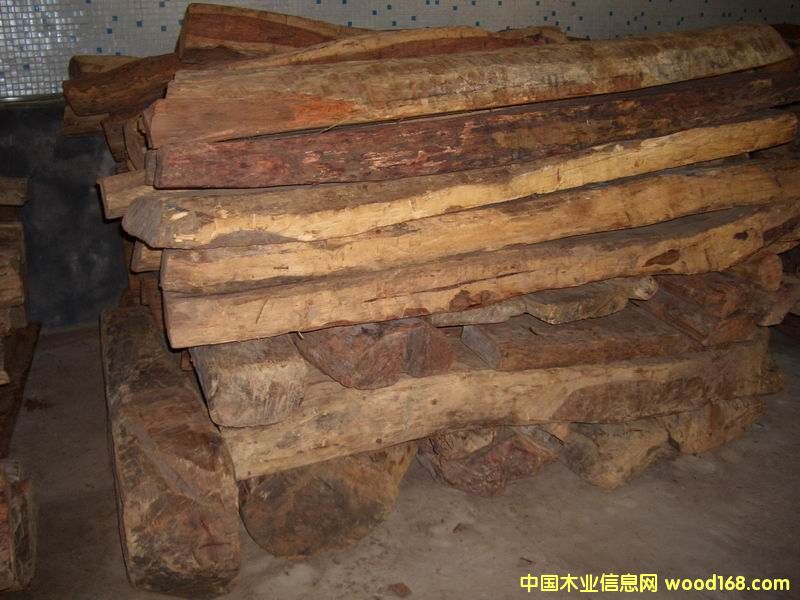 ԭľ��Ԕ��(x��)��B