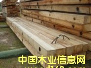 ��ľ䏲ĵ�Ԕ����B