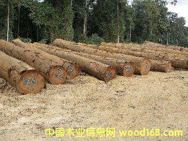 �W����ԭľ��Ԕ����B