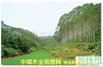 �֮a(ch��n)�I(y��)���̵�Ԕ����B