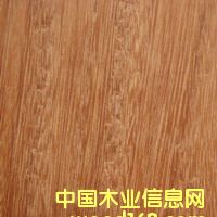 ���ۮ����g�ǘ��Ԕ��(x��)��B