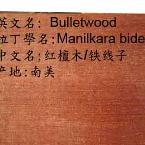 �F���ӵ�Ԕ��(x��)��B