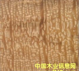 ˮ���������Ԕ����B