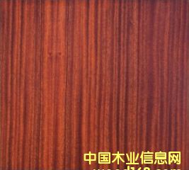 ɳؐ����Ԕ����B