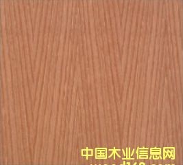 �t��ֱ�y��Ԕ����B