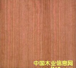 ����ֱ�y��Ԕ����B