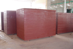 ����ģ�壨4����Ԕ����B