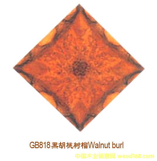 �ں��Ҙ�(sh��)���Ԕ��(x��)��B