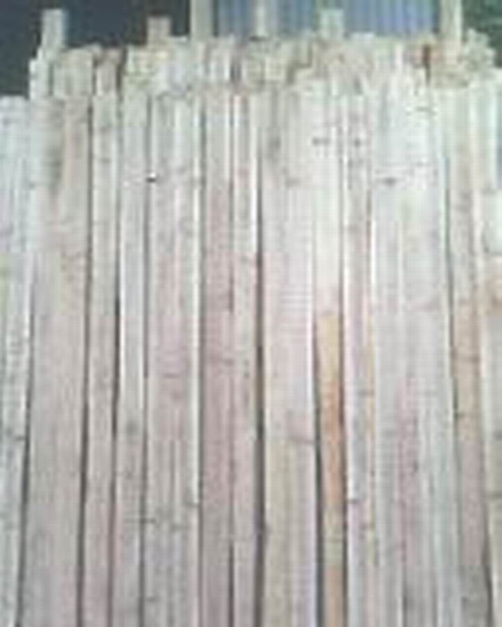 ��~ɼľ�ذ��Ԕ��(x��)��B