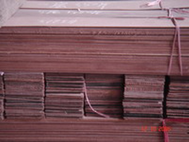 �ذ��Ƥ��Ԕ����B