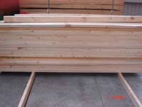 ɼľ���Ԕ��(x��)��B